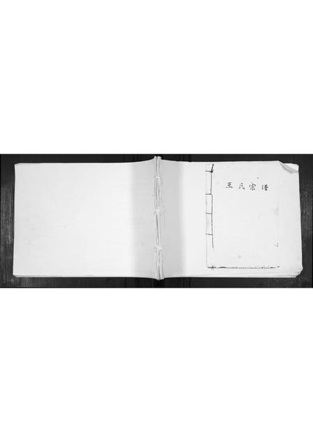 山东王氏-王氏宗谱.pdf电子版