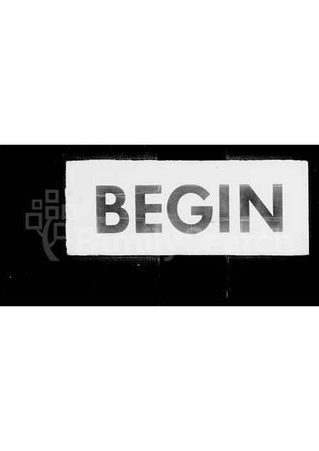 山东王氏-王氏宗谱(别名：馆陶王氏宗谱).pdf电子版插图2