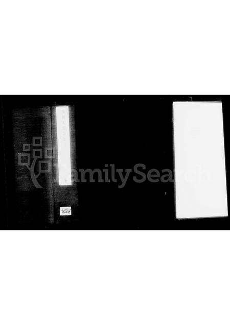 山东王氏-王氏宗谱(别名：馆陶王氏宗谱).pdf电子版插图4