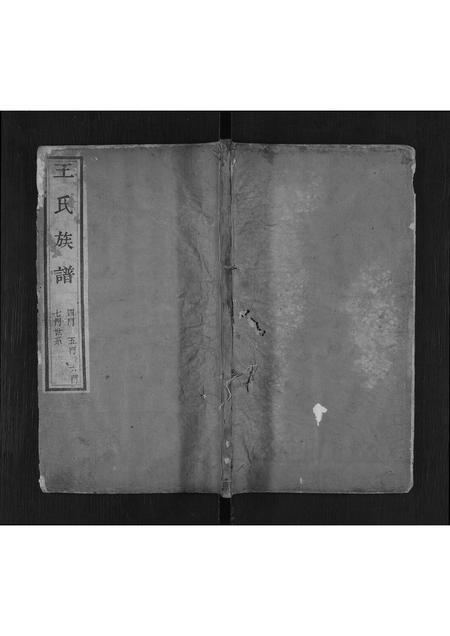 山东王氏-王氏宗谱[不分卷](别名：Wang Shi Zong Pu).pdf电子版