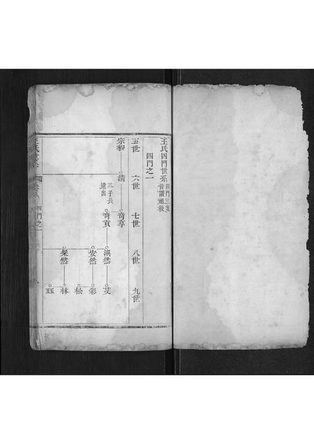 山东王氏-王氏宗谱[不分卷](别名：Wang Shi Zong Pu).pdf电子版插图1