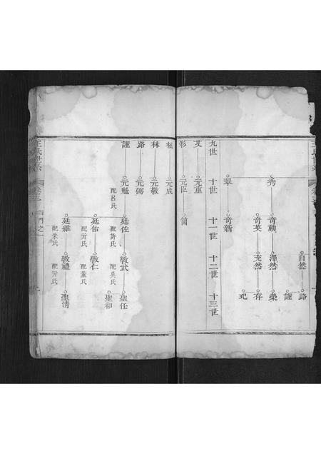 山东王氏-王氏宗谱[不分卷](别名：Wang Shi Zong Pu).pdf电子版插图2