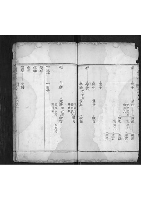 山东王氏-王氏宗谱[不分卷](别名：Wang Shi Zong Pu).pdf电子版插图3