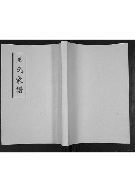 山东王氏-王氏家谱.pdf电子版插图 山东王氏-王氏家谱.pdf电子版插图