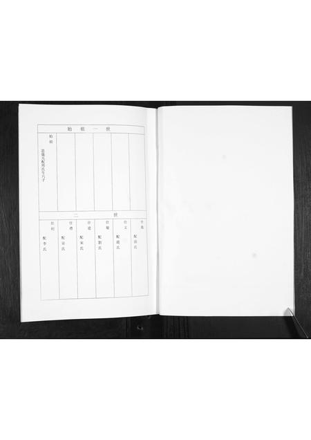 山东王氏-王氏家谱.pdf电子版插图2 山东王氏-王氏家谱.pdf电子版插图2