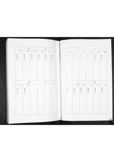 山东王氏-王氏家谱.pdf电子版插图4 山东王氏-王氏家谱.pdf电子版插图4