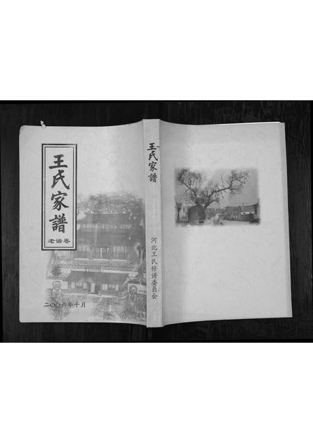 山东王氏-王氏家谱[1册](别名：Wang Shi Jia Pu).pdf电子版