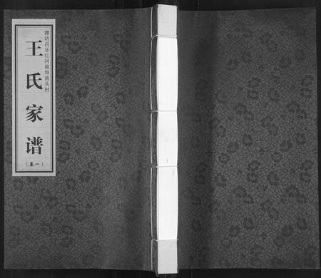 山东王氏-王氏家谱[6卷](别名：Wang Shi Jia Pu).pdf电子版插图
