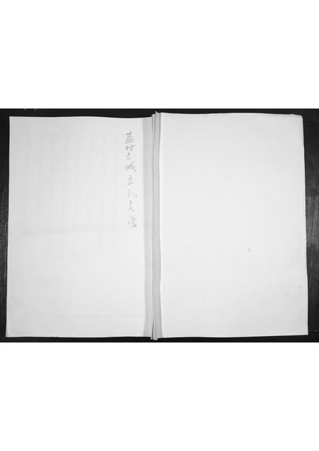 山东王氏-王氏支谱.pdf电子版