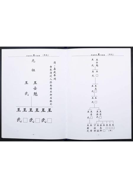 山东王氏-王氏族谱.pdf电子版插图5 山东王氏-王氏族谱.pdf电子版插图5
