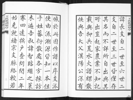 山东王氏-王氏族谱.pdf电子版插图5 山东王氏-王氏族谱.pdf电子版插图5