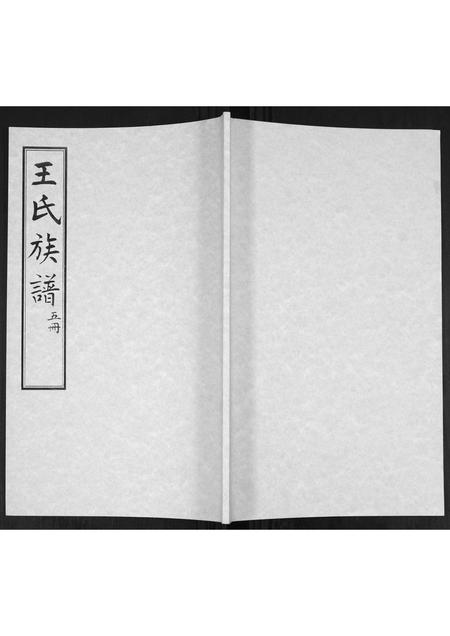 山东王氏-王氏族谱.pdf电子版插图 山东王氏-王氏族谱.pdf电子版插图