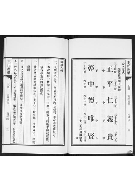 山东王氏-王氏族谱.pdf电子版插图5 山东王氏-王氏族谱.pdf电子版插图5