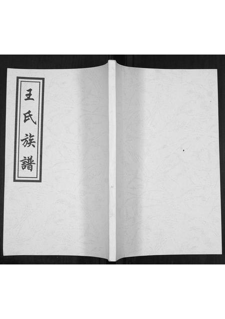 山东王氏-王氏族谱.pdf电子版插图 山东王氏-王氏族谱.pdf电子版插图