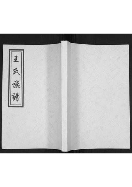 山东王氏-王氏族谱.pdf电子版插图 山东王氏-王氏族谱.pdf电子版插图