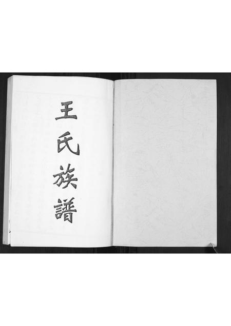 山东王氏-王氏族谱.pdf电子版插图1 山东王氏-王氏族谱.pdf电子版插图1