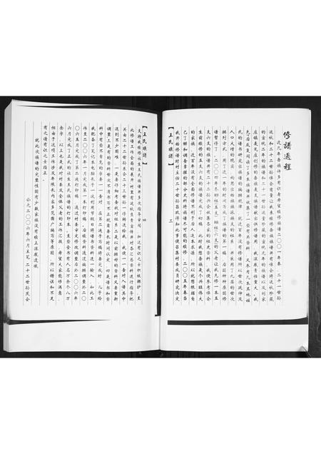 山东王氏-王氏族谱.pdf电子版插图4 山东王氏-王氏族谱.pdf电子版插图4
