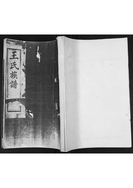 山东王氏-王氏族谱.pdf电子版插图 山东王氏-王氏族谱.pdf电子版插图