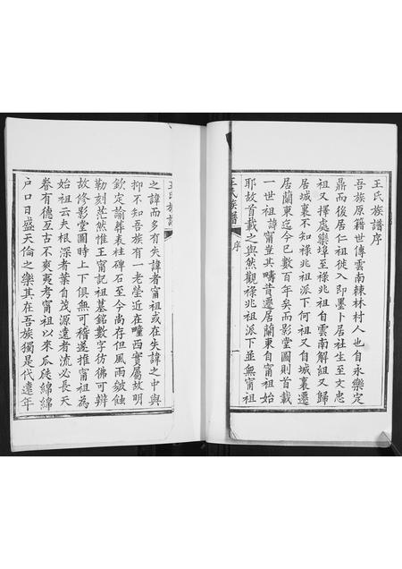 山东王氏-王氏族谱.pdf电子版插图2 山东王氏-王氏族谱.pdf电子版插图2