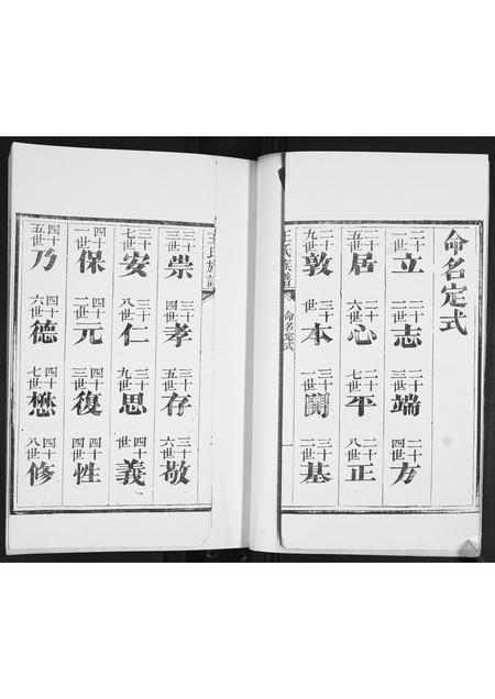 山东王氏-王氏族谱.pdf电子版插图5 山东王氏-王氏族谱.pdf电子版插图5