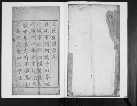山东王氏-王氏族谱.pdf电子版插图1 山东王氏-王氏族谱.pdf电子版插图1