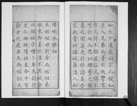 山东王氏-王氏族谱.pdf电子版插图2 山东王氏-王氏族谱.pdf电子版插图2