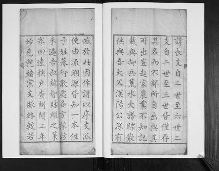 山东王氏-王氏族谱.pdf电子版插图3 山东王氏-王氏族谱.pdf电子版插图3