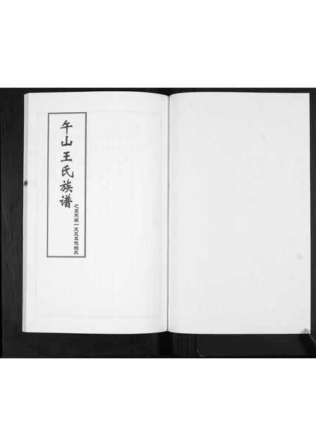 山东王氏-王氏族谱.pdf电子版插图1 山东王氏-王氏族谱.pdf电子版插图1