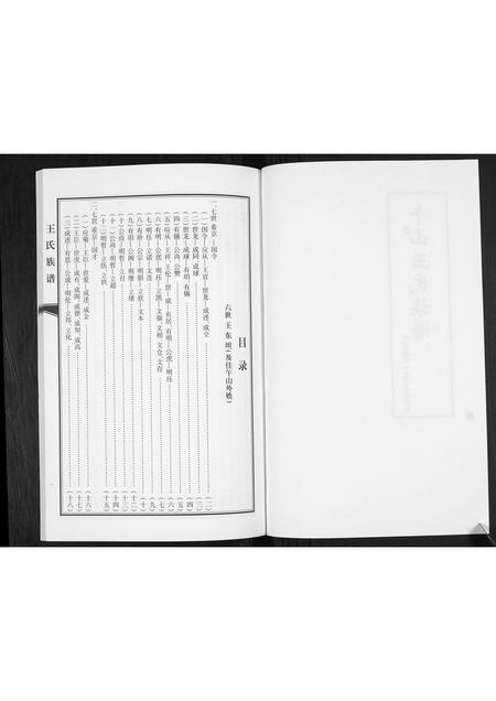 山东王氏-王氏族谱.pdf电子版插图2 山东王氏-王氏族谱.pdf电子版插图2