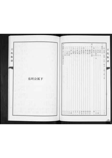 山东王氏-王氏族谱.pdf电子版插图3 山东王氏-王氏族谱.pdf电子版插图3