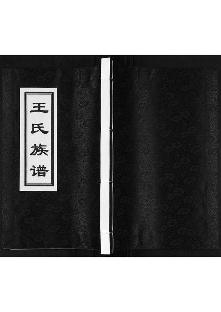 山东王氏-王氏族谱.pdf电子版插图 山东王氏-王氏族谱.pdf电子版插图