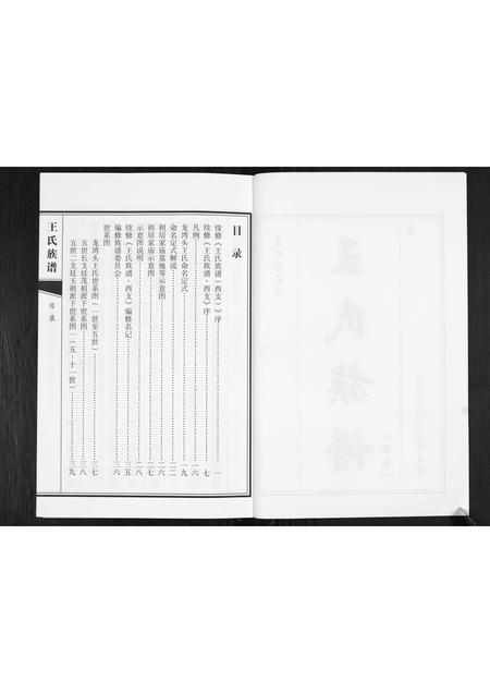 山东王氏-王氏族谱.pdf电子版插图2 山东王氏-王氏族谱.pdf电子版插图2