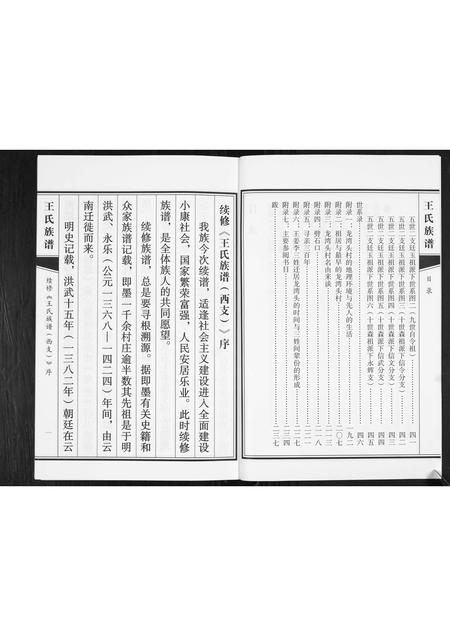 山东王氏-王氏族谱.pdf电子版插图3 山东王氏-王氏族谱.pdf电子版插图3