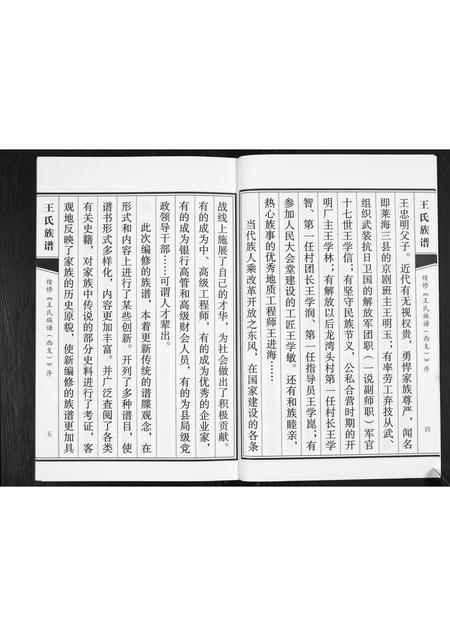山东王氏-王氏族谱.pdf电子版插图4 山东王氏-王氏族谱.pdf电子版插图4