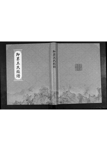 山东王氏-王氏族谱.pdf电子版插图 山东王氏-王氏族谱.pdf电子版插图