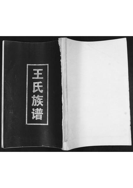 山东王氏-王氏族谱.pdf电子版插图 山东王氏-王氏族谱.pdf电子版插图