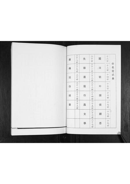 山东王氏-王氏族谱.pdf电子版插图5 山东王氏-王氏族谱.pdf电子版插图5