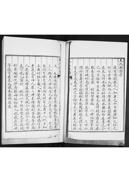 山东王氏-王氏族谱.pdf电子版插图2 山东王氏-王氏族谱.pdf电子版插图2