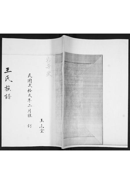 山东王氏-王氏族谱.pdf电子版