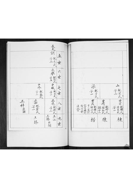 山东王氏-王氏族谱.pdf电子版插图3 山东王氏-王氏族谱.pdf电子版插图3