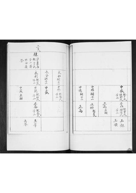 山东王氏-王氏族谱.pdf电子版插图4 山东王氏-王氏族谱.pdf电子版插图4