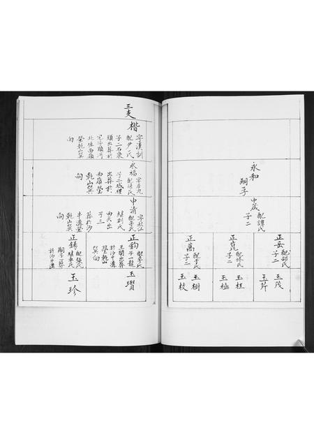 山东王氏-王氏族谱.pdf电子版插图5 山东王氏-王氏族谱.pdf电子版插图5