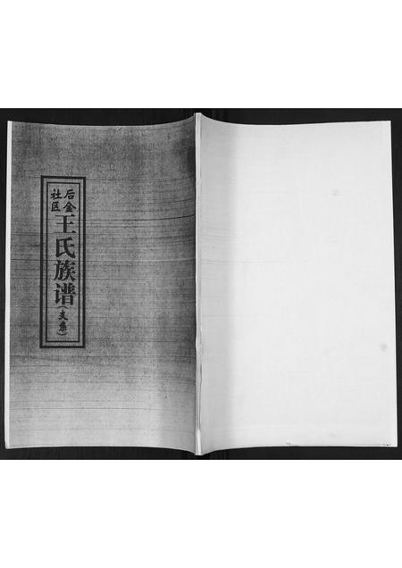 山东王氏-王氏族谱.pdf电子版