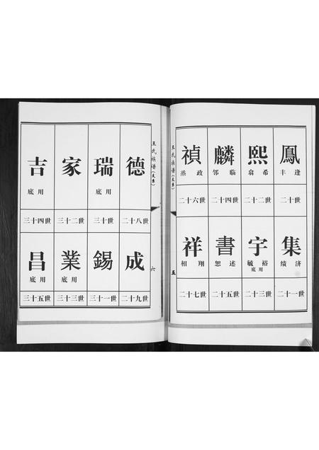 山东王氏-王氏族谱.pdf电子版插图4 山东王氏-王氏族谱.pdf电子版插图4