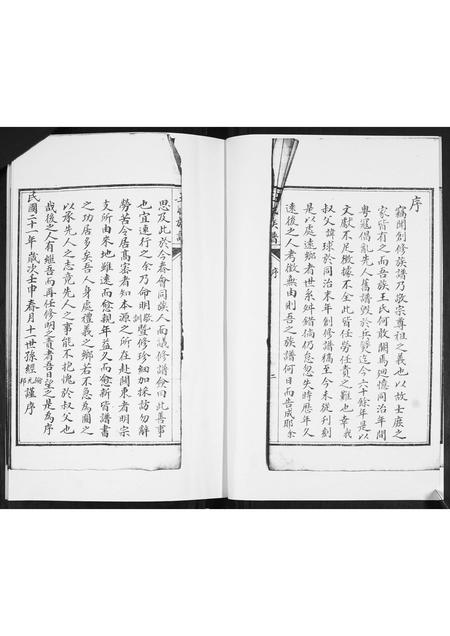 山东王氏-王氏族谱.pdf电子版插图2