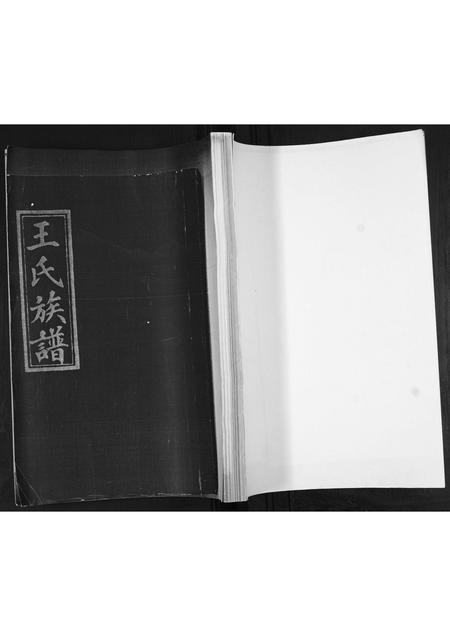 山东王氏-王氏族谱.pdf电子版