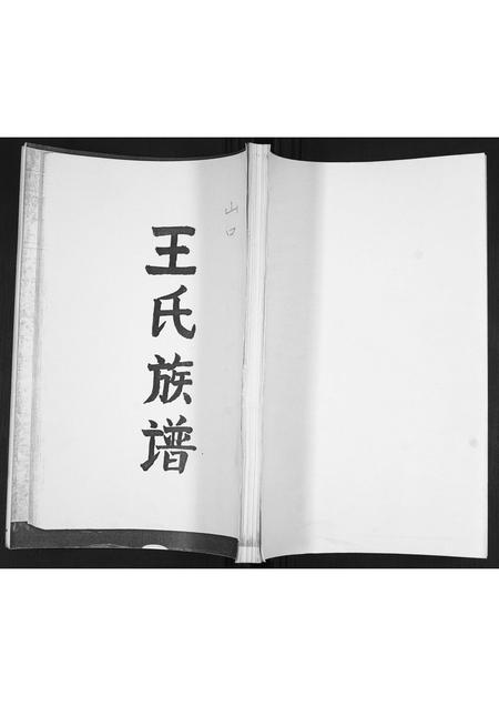 山东王氏-王氏族谱.pdf电子版