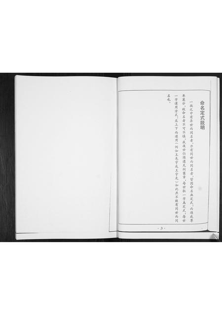 山东王氏-王氏族谱.pdf电子版插图4 山东王氏-王氏族谱.pdf电子版插图4