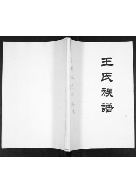 山东王氏-王氏族谱.pdf电子版