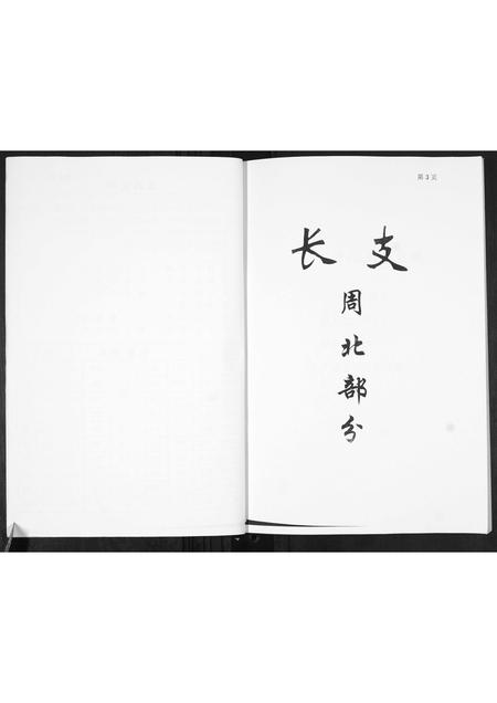 山东王氏-王氏族谱.pdf电子版插图4 山东王氏-王氏族谱.pdf电子版插图4